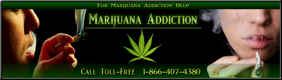 Marijuana Addict
